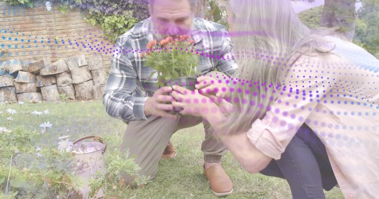 Coppia che arriva inginocchiandosi tra le margherite e si protende verso una pianta a fiori rossi per il trapianto in giardino