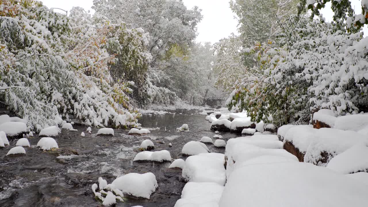 Nevicata nel Paese delle meraviglie invernale di Boulder, Colorado.