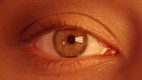 Nahaufnahme-Des-Mehrfarbigen-Makro-Augenlichts,-Das-Auf-Dem-Iris-Club-Konzept-Blinkt