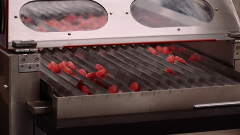 red gummy candy vitamin supplements moving down chutes - automation process