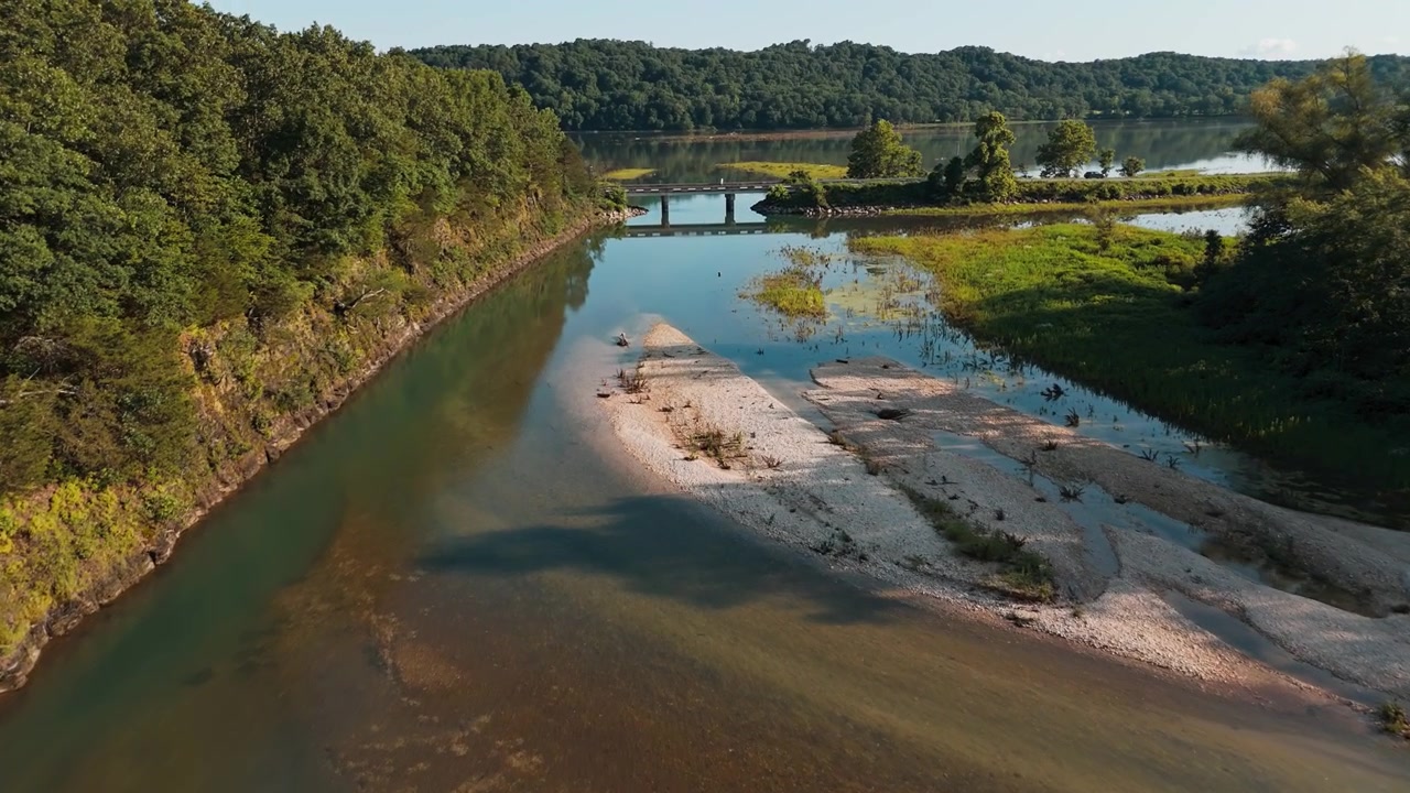 Vegetazione litoranea aerea con depositi di fango e sabbia vicino alla baia di Bush Creek che si collega alle acque del lago Eucha.