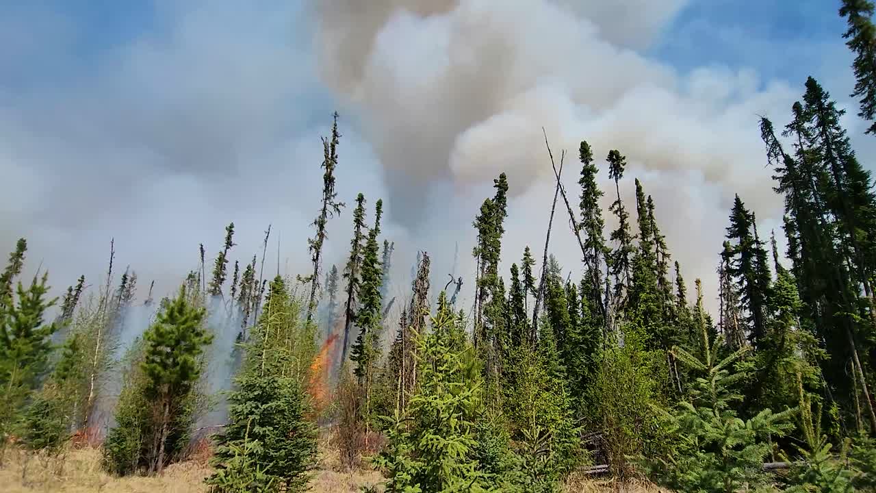 una enorme nube de humo gris que surge de un incendio forestal que quema árboles en un bosque, en alberta, canadá