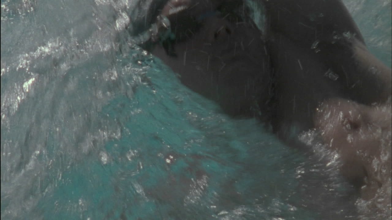 한 남자가 수영장에서 등을 대고 수영한다