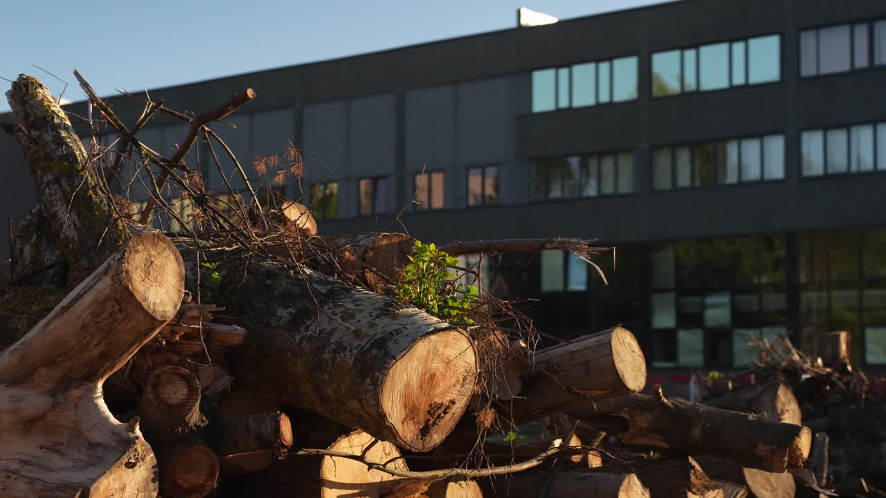 Holzscheitstapel vor einem Mehrfamilienhaus, Heizsaison