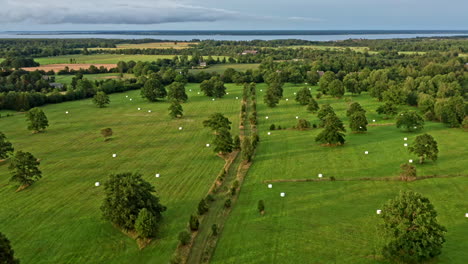 Slowly-descending-into-grassland-with-oak-trees-and-packed-hay-rolls