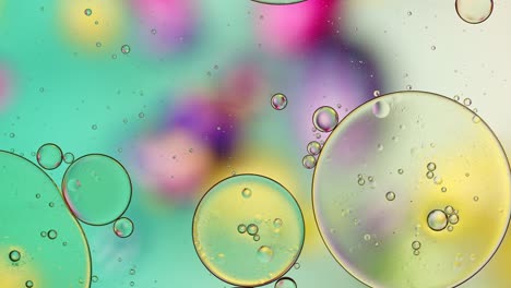 abstract colorful food oil drops bubbles and spheres flowing