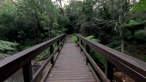 walking through lush forest on a wooden bridge