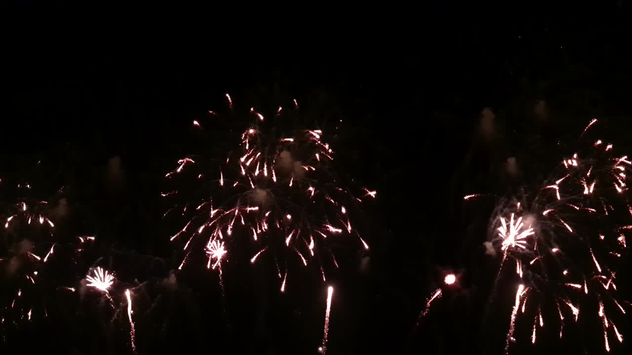 원활한 루프 실제 불꽃놀이 전시 축제, 다채로운 새해 불꽃 놀이 4k