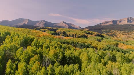 álamos tembloses girando en kebler pass, colorado