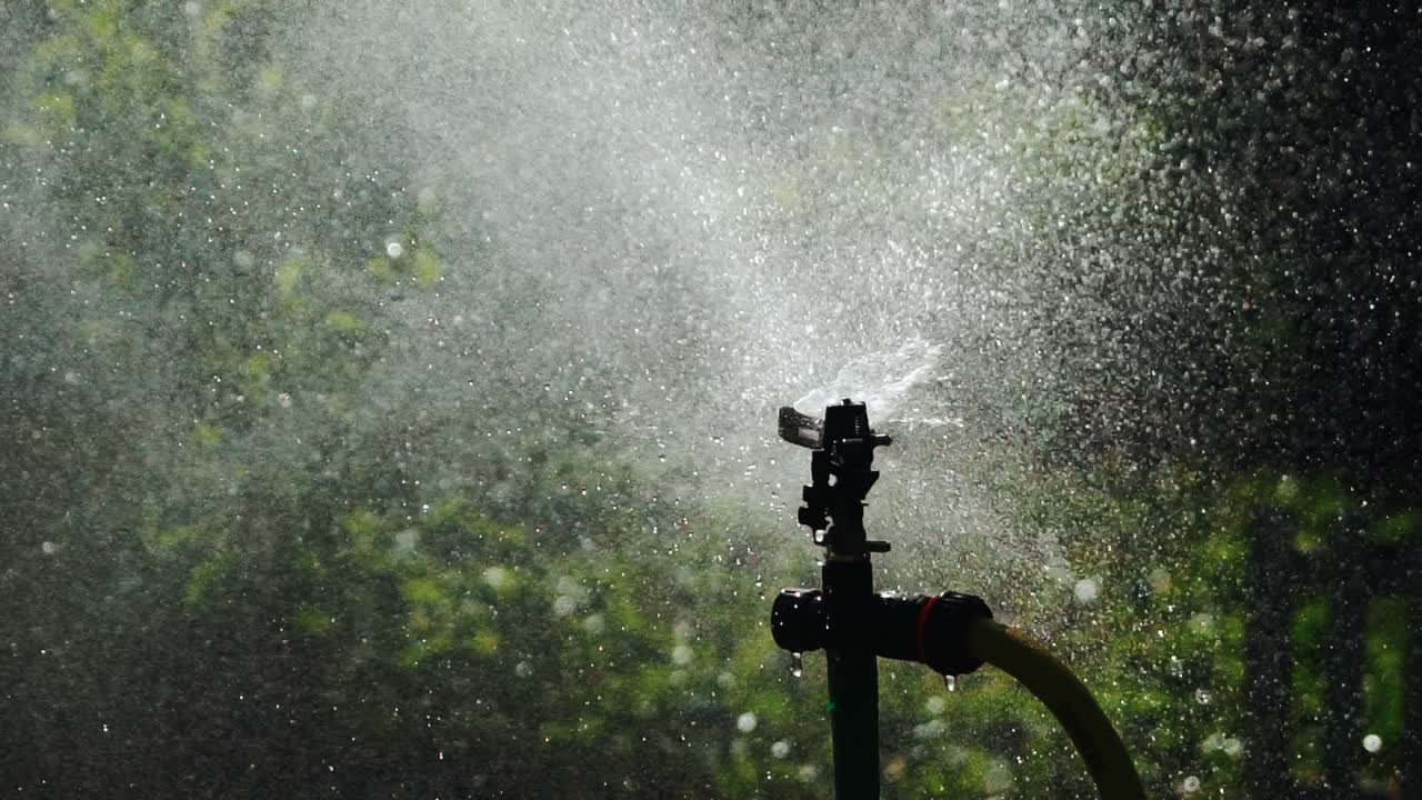 Sprinkler system sprays water on the grass in the garden. Slow Motion.
