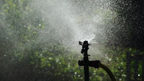 sprinkler system sprays water on the grass in the garden. slow motion.