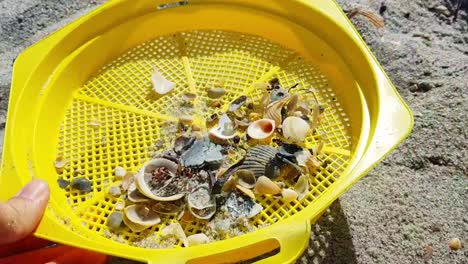 cerrar poniendo arena y conchas en el tamiz amarillo en un día soleado de playa