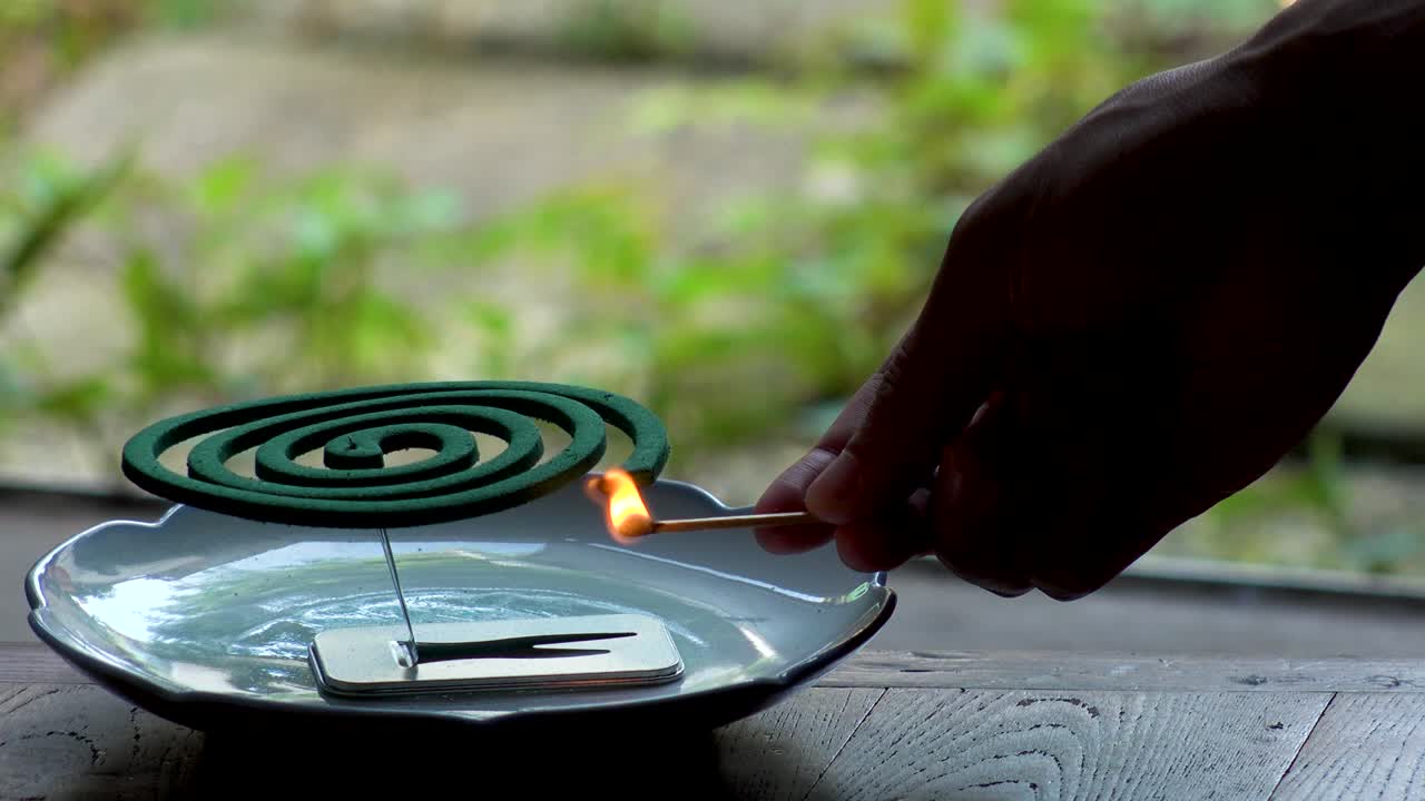 일본의 집에서 녹색 모기 코일을 태우는 여름 시즌 컨셉 비디오