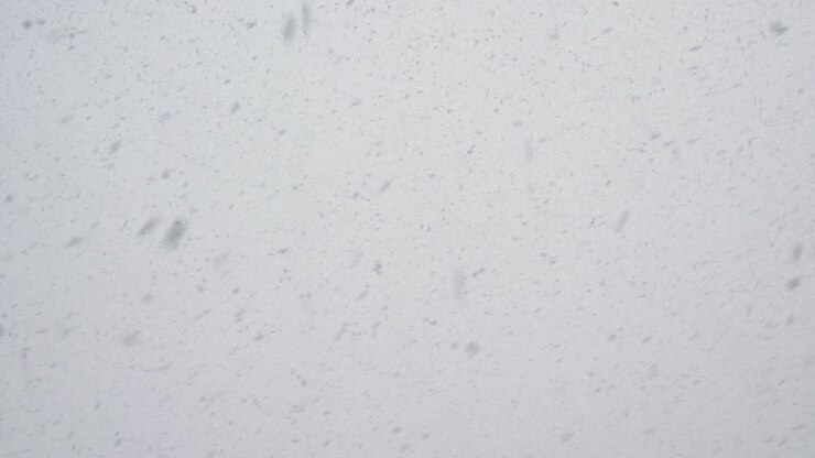 la nieve está cayendo sobre el fondo gris y nublado del cielo. clima nevado. naturaleza de invierno