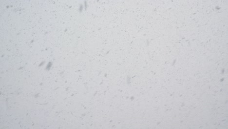 la nieve está cayendo sobre el fondo gris y nublado del cielo. clima nevado. naturaleza de invierno