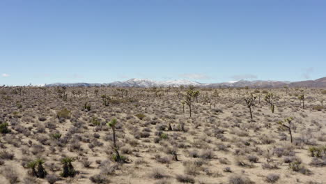 Vista-Por-Drones-Del-Desierto-De-Los-árboles-De-Joshua-Con-Montañas-Cubiertas-De-Nieve-En-El-Horizonte