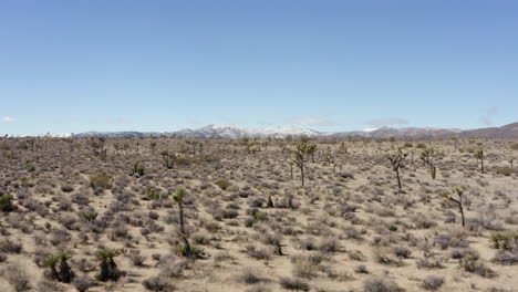 drone view of the joshua trees desert with snow capped mountains on the horizon