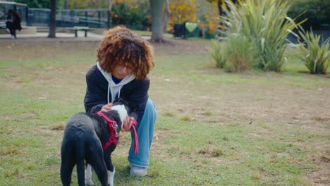 female owner petting cute dog on green lawn in the park