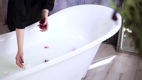 Young-attractive-woman-in-black-bathrobe-throwing-flowers-to-the-bathtub-filled-with-milk,-getting-ready-to-take-a-warm-bath