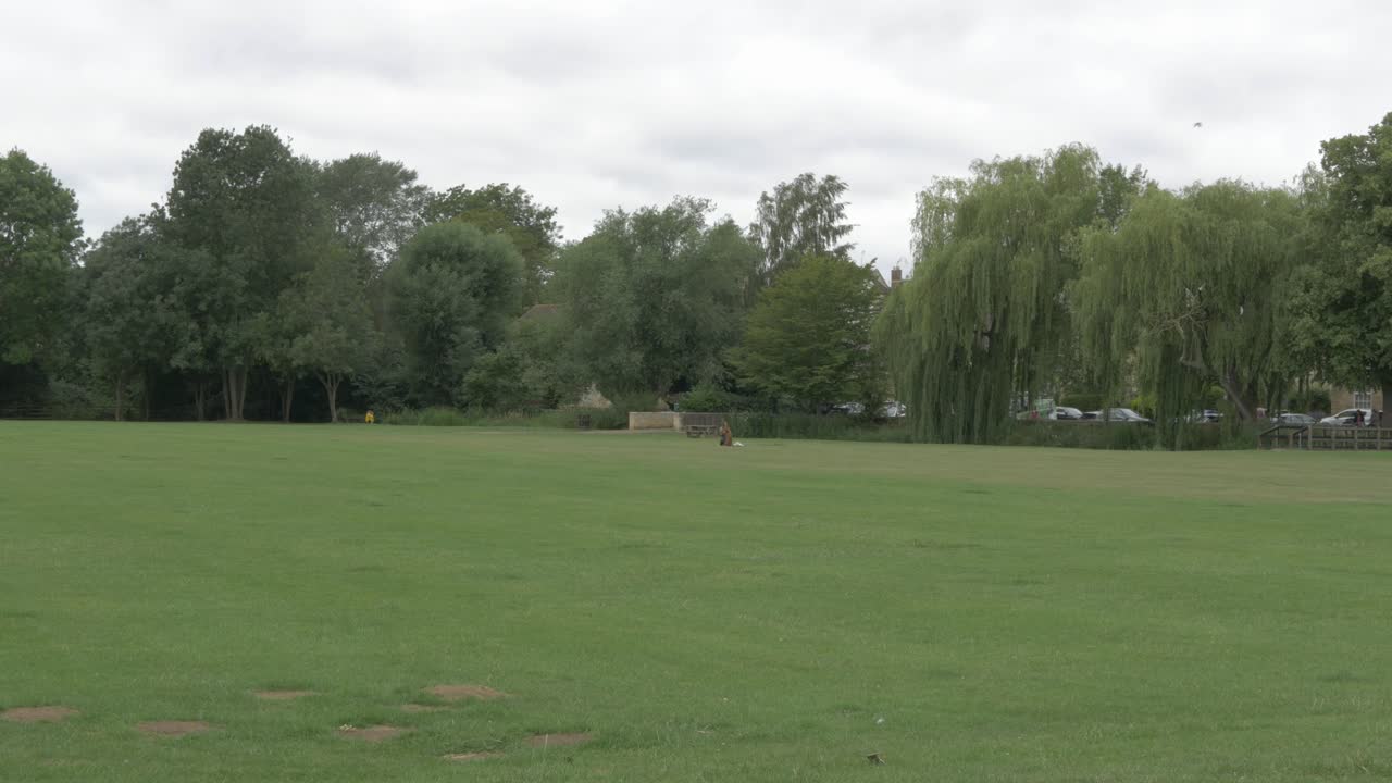 People walking the dog in empty park. Coronavirus lockdown relaxes in UK