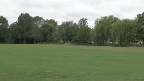 people walking the dog in empty park. coronavirus lockdown relaxes in uk