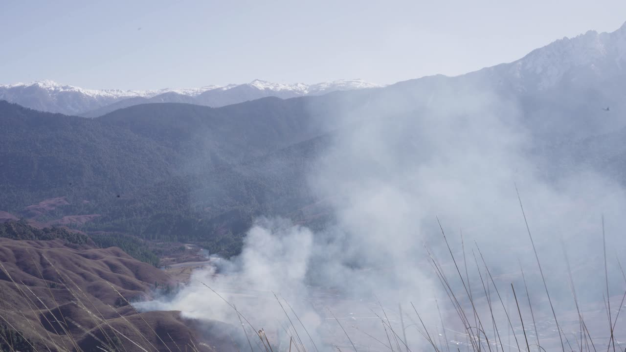 Time lapse of smoke from the fire in the nature. Natural disaster