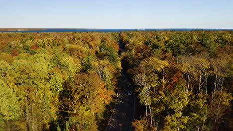 cars driving on winding road through colorful autumn trees in dense forest