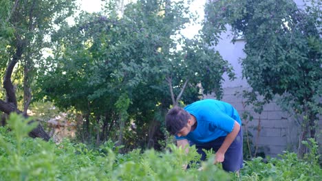 Digging-garden-farmer