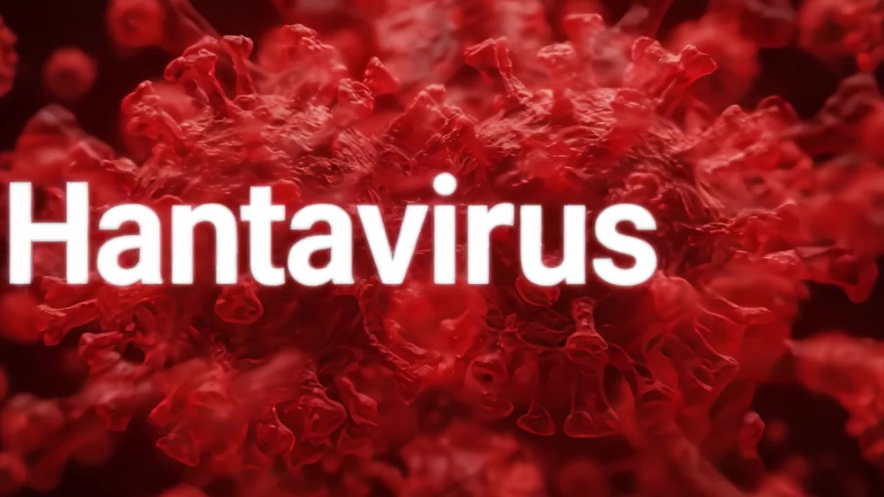 Visual Representation of Hantavirus: Exploring Its Molecular Structure and Associated Risks in a Stylized Design with Emphasis on Viruses and Health Implications