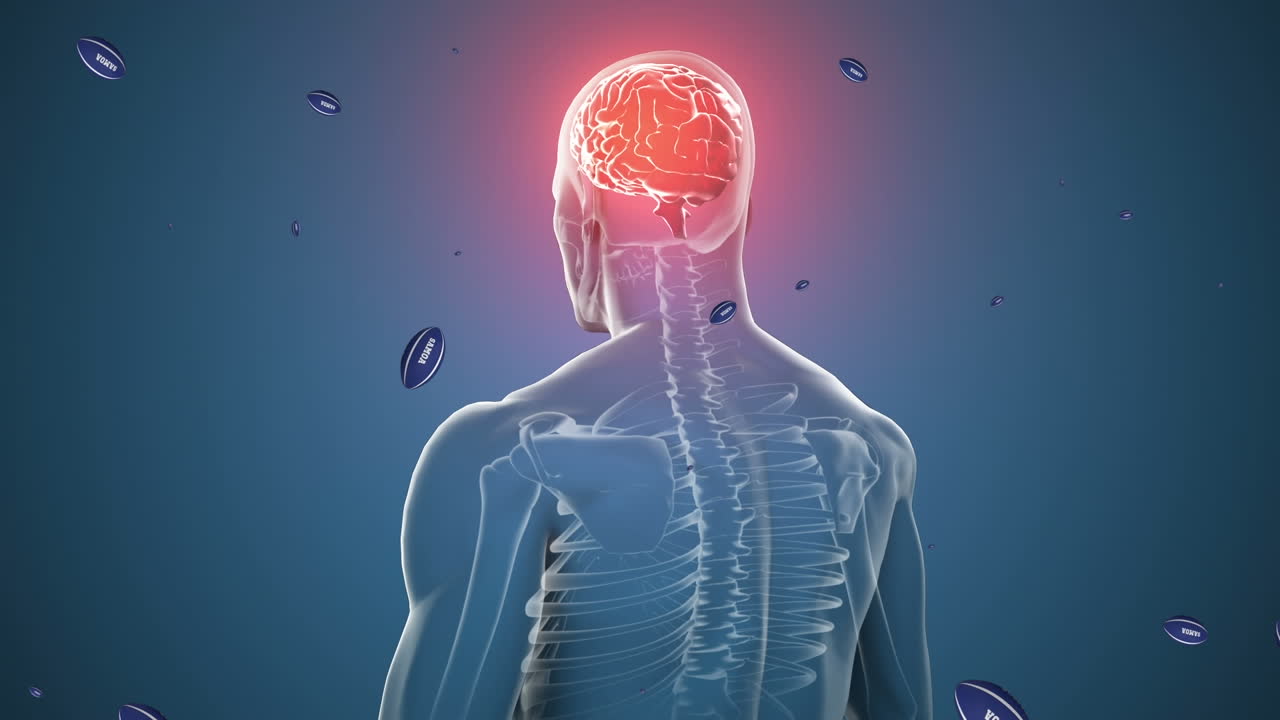 뇌를 가진 디지털 인간 위에 사모아 텍스트와 함께 럭비 공의 애니메이션