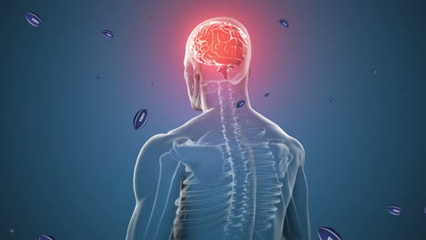 animación de pelotas de rugby con texto samoa sobre humano digital con cerebro
