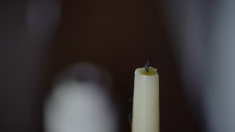 old fashioned candle lit by branch