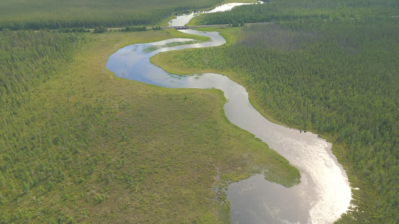 Aerial View of a Winding River Through Lush Green Forest and Marshland