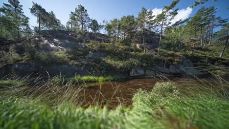 Kiefern-Stehen-Auf-Dem-Felsvorsprung-über-Dem-Seichten-Fluss