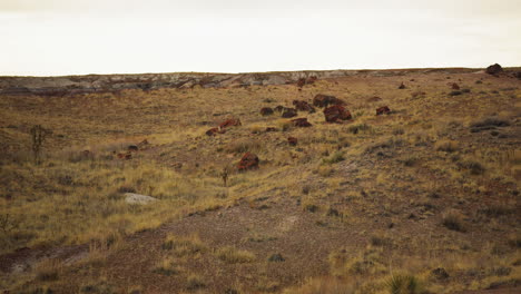 Wild-landscape-view-at-Petrified-Forest-National-Park-in-Arizona,-panning-shot