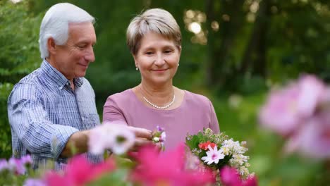 elderly couple in a garden