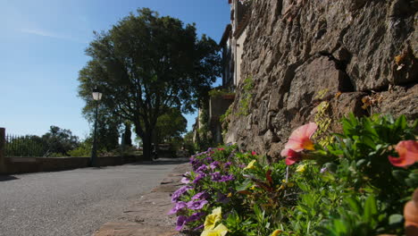 Flores-Y-árboles-En-Gassin,-Los-Pueblos-Más-Bellos-De-Francia,-El-Día-Soleado-De-Verano.