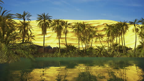desert oasis with palm trees and reflective water under blue sky