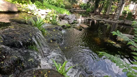 serene waterfall flowing into a garden pond