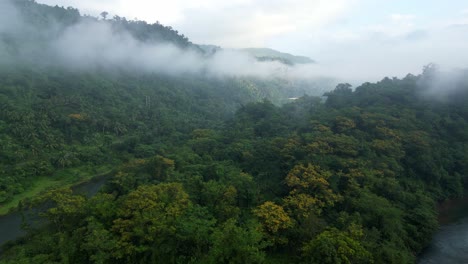 low clouds stick along tree top above river gorge and vibrant green forest