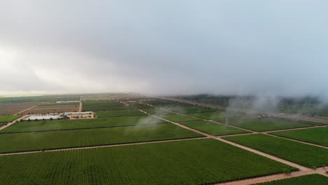 Campos-Verdes-De-Viñedos-En-Un-Vuelo-Nublado