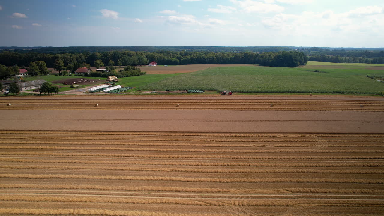 Eine Ansicht der Ernte auf dem Feld, Polen – Übersichts-Luftaufnahme