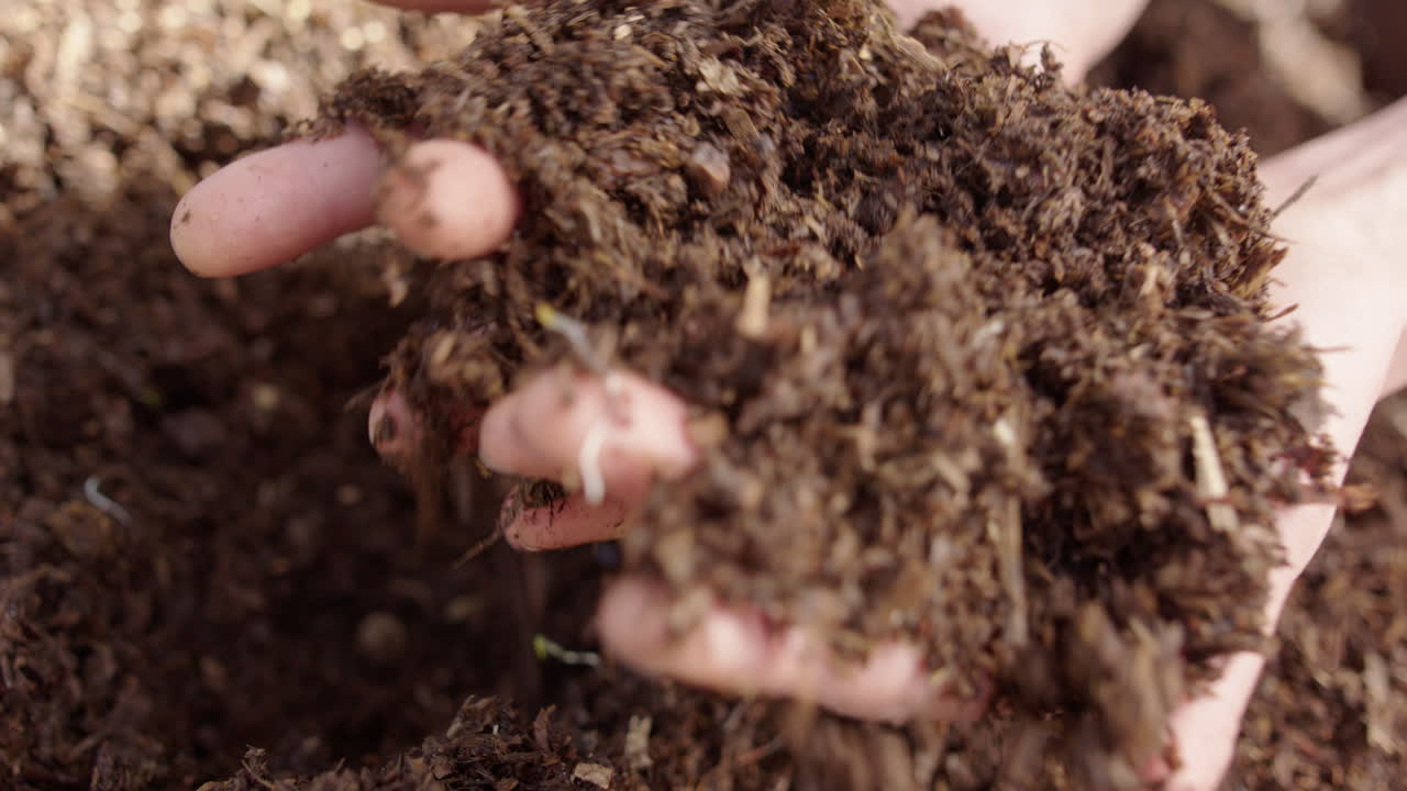 Closeup of female farmers hands studying healthy compost from the heap