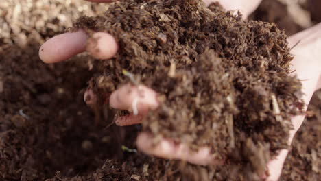 closeup of female farmers hands studying healthy compost from the heap