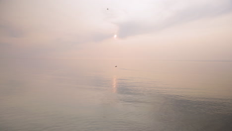 bird sitting on calm waters at sunset