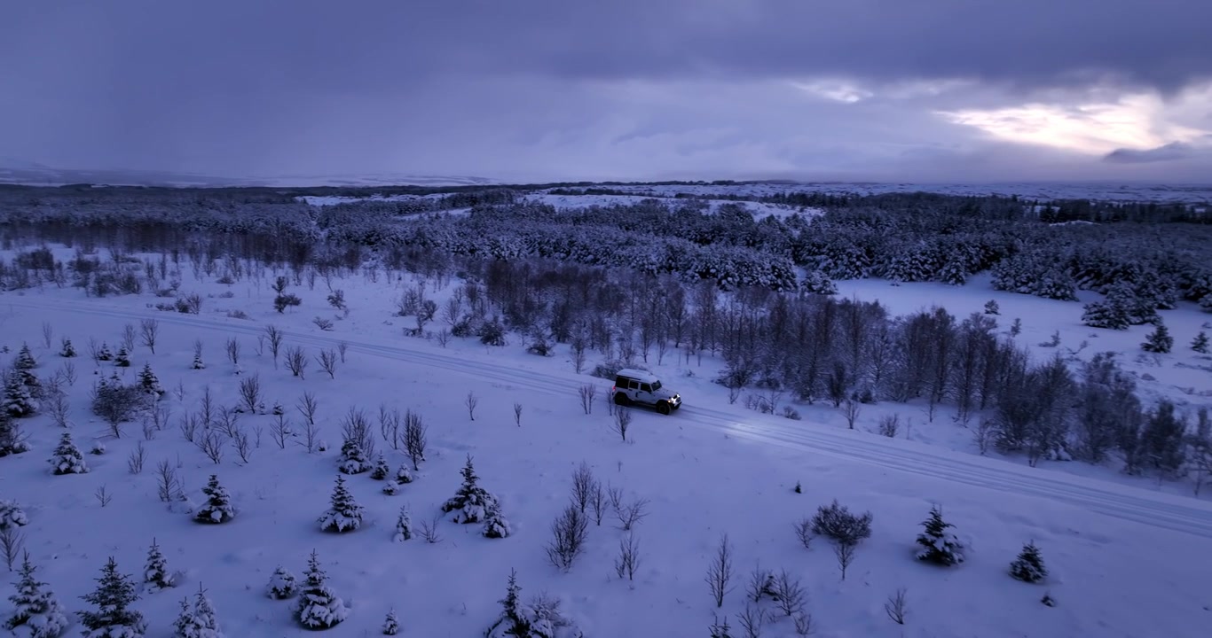 Flyfoto av en kantete 4x4 som kjører gjennom en blek snøslette med små bjørker, mørke furutrær og fjerne stormskyer på Island