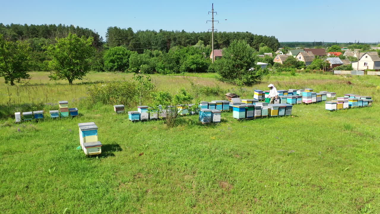 Apiary on field in summer. Beekeeper working near the beehives on the background of rural houses. Beekeeping process. Aerial view.