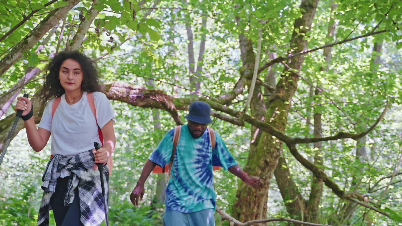 숲 속 의 산책자 들