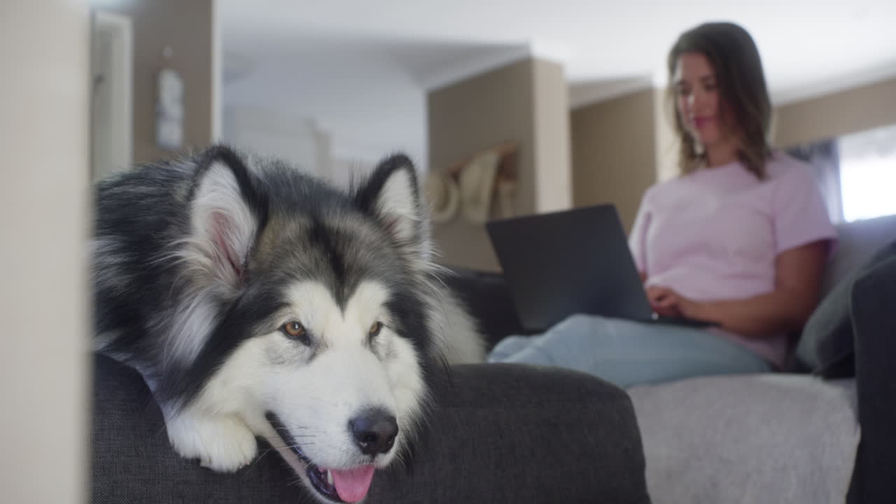 그냥 또 다른 차가운 날