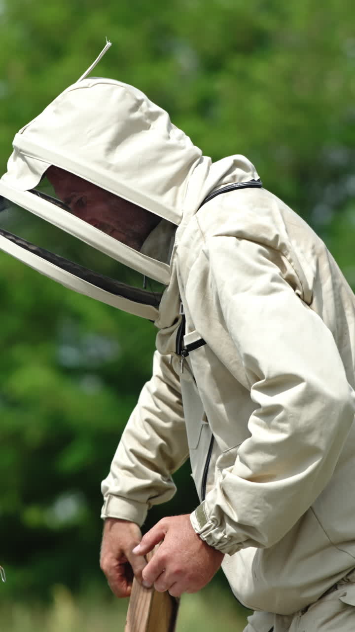 Beekeeper in protective uniform takes off the lid of the bee hive. Man uses smoker to calm the bees down. Blurred nature backdrop. Vertical video